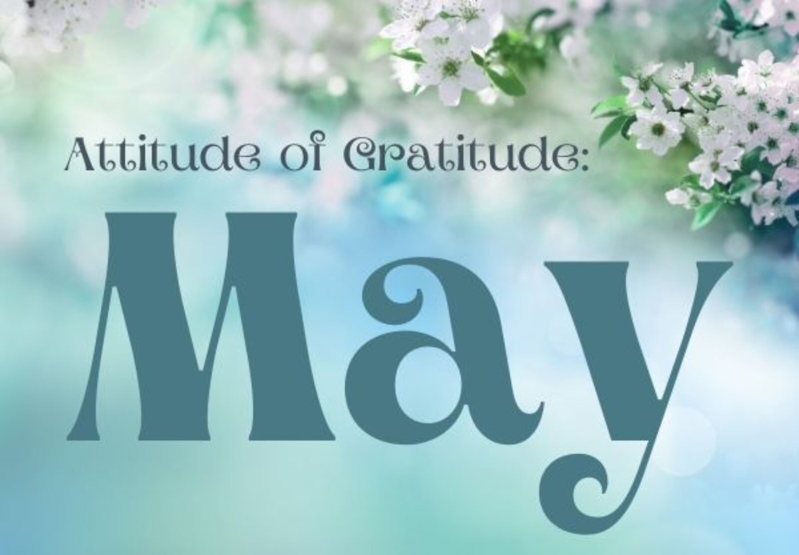 Attitude of Gratitude: May