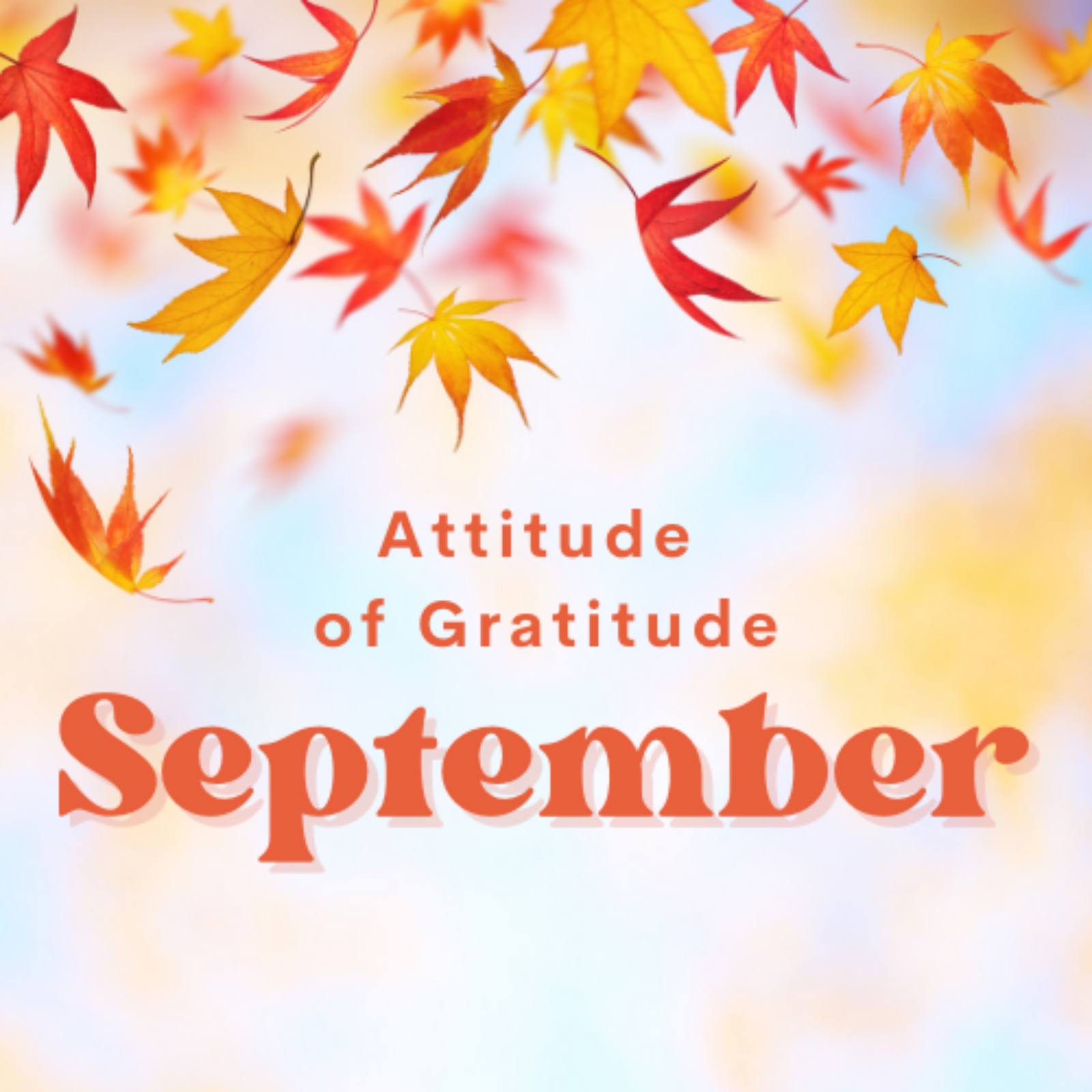 Attitude of Gratitude: September