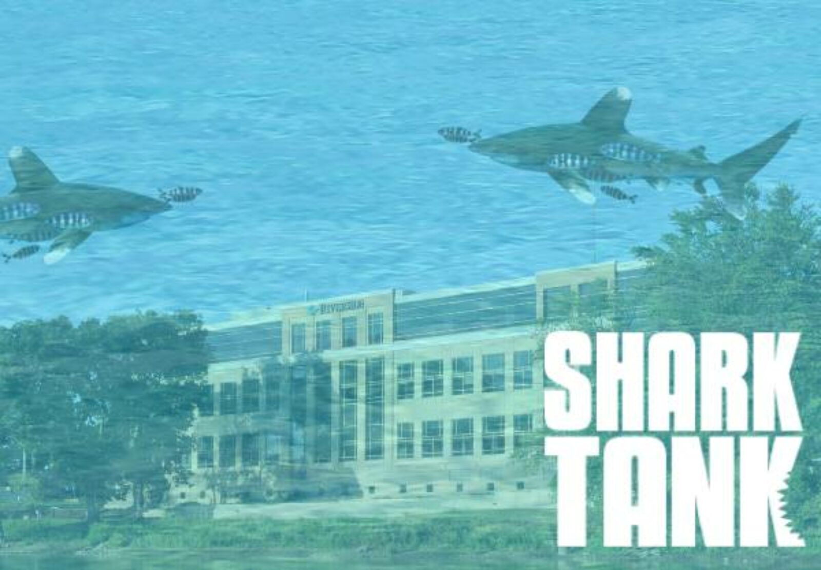 Shark Tank 2023 – Time to Submit Your Ideas!
