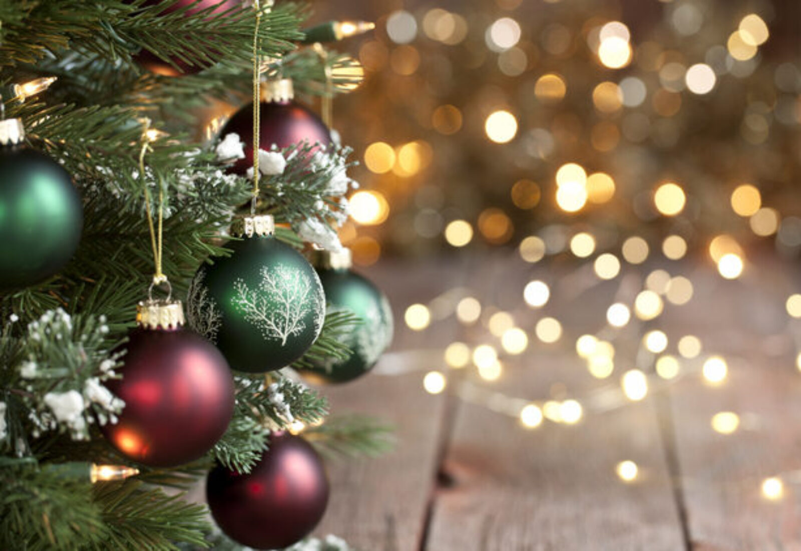 Join us for the Festive Christmas Tree Lighting!