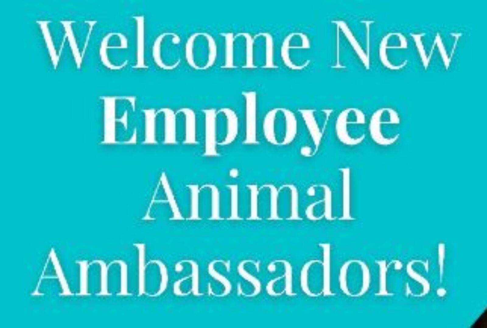 Riverside Welcomes 3 New Employee Animal Ambassadors