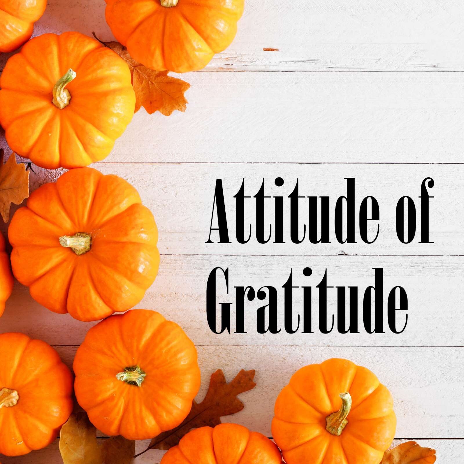 Attitude of Gratitude Photo Contest – Colors of Fall